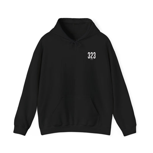 323 Hoodie